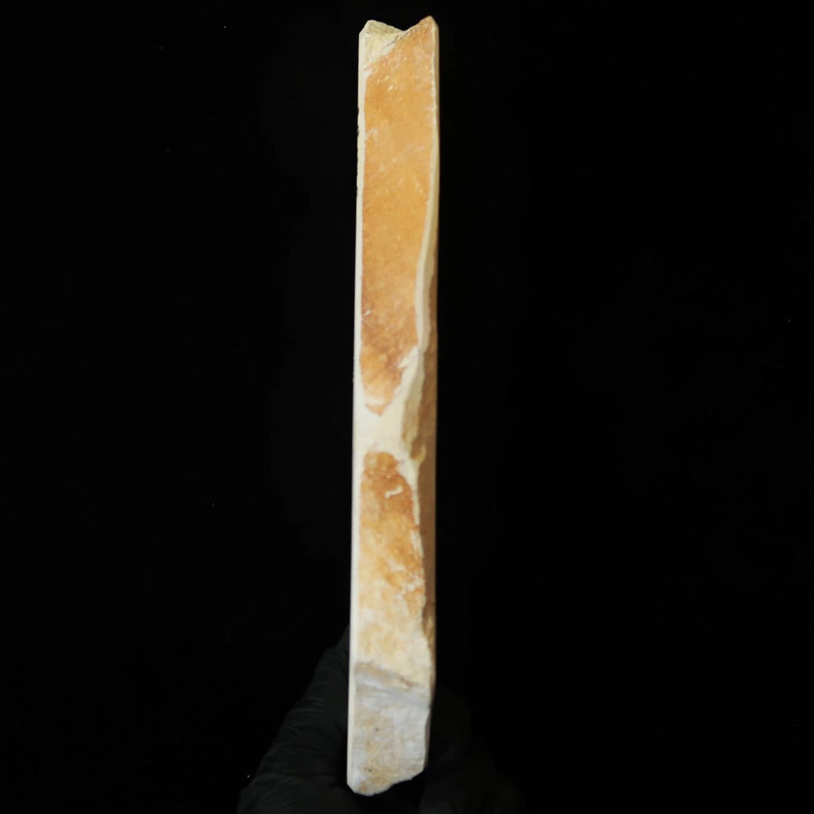Miotsukushihime Pedra de amolar natural Iyo Meito M44 “Shayō” 113 × 234 × 22 mm