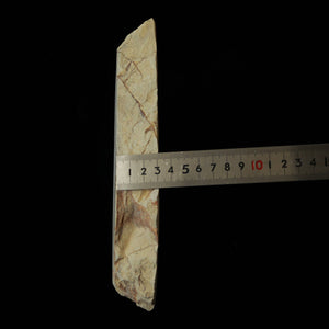 澪つくしひめ 天然砥石 伊豫銘砥 M45　小梅　94×222×30mm
