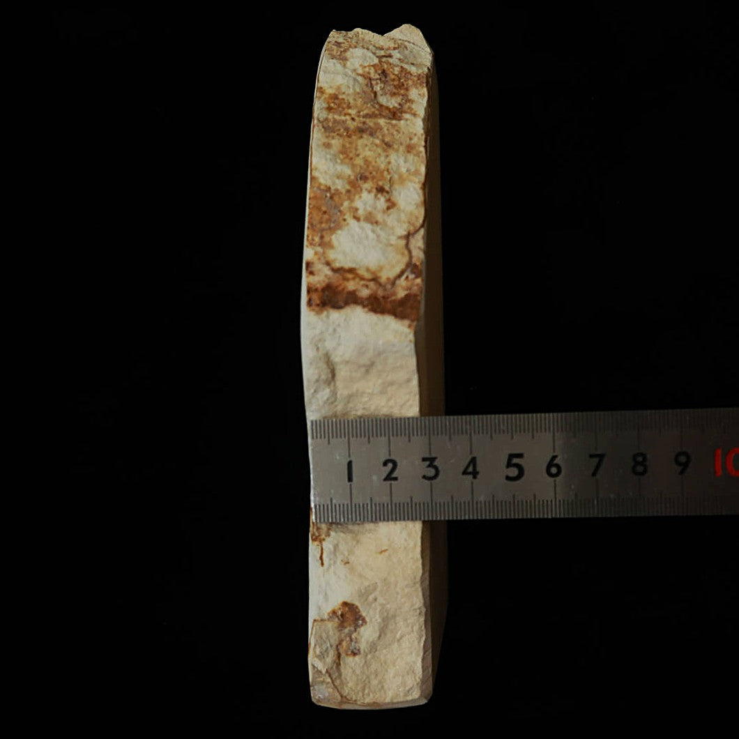 澪つくしひめ 天然砥石 伊豫銘砥 M48　斜陽 木箱入り　105×186×32mm