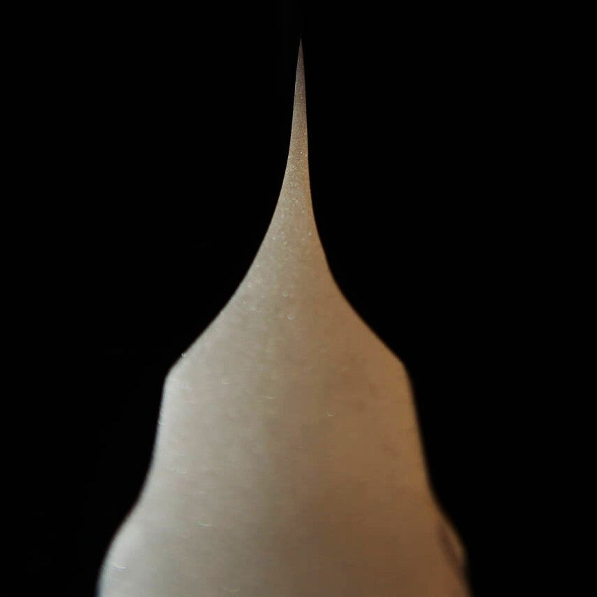 Glestain GLESTAIN Salmon Slicer 331TAML (330mm)