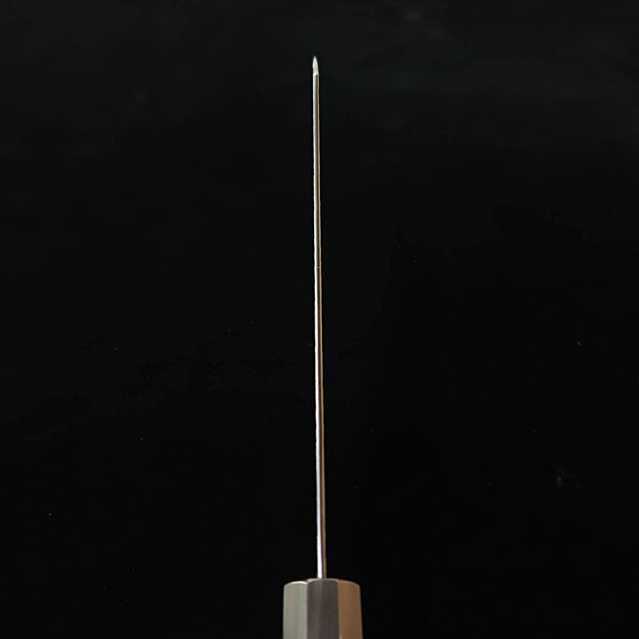 Nigara Hamono Kiritsuke Gyuto SG2 Tsuchime Kurouchi – Manche Octogonal en Wengé (240 mm)