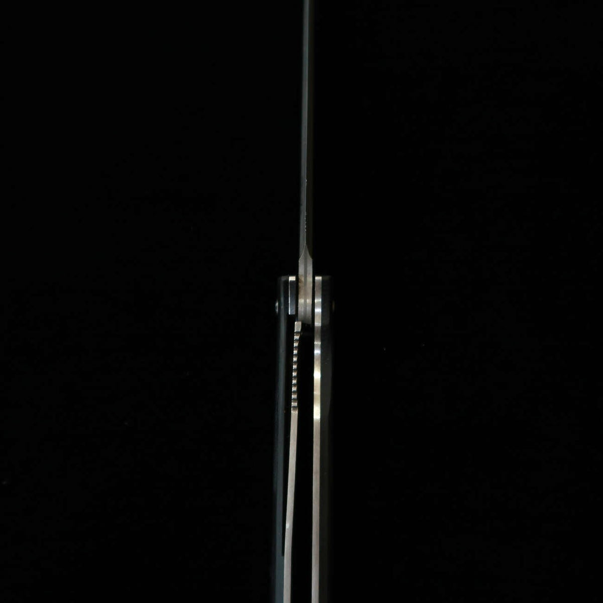 SAJI TAKESHI R2 couteau à steak pliant, Micarta noire (100 mm)