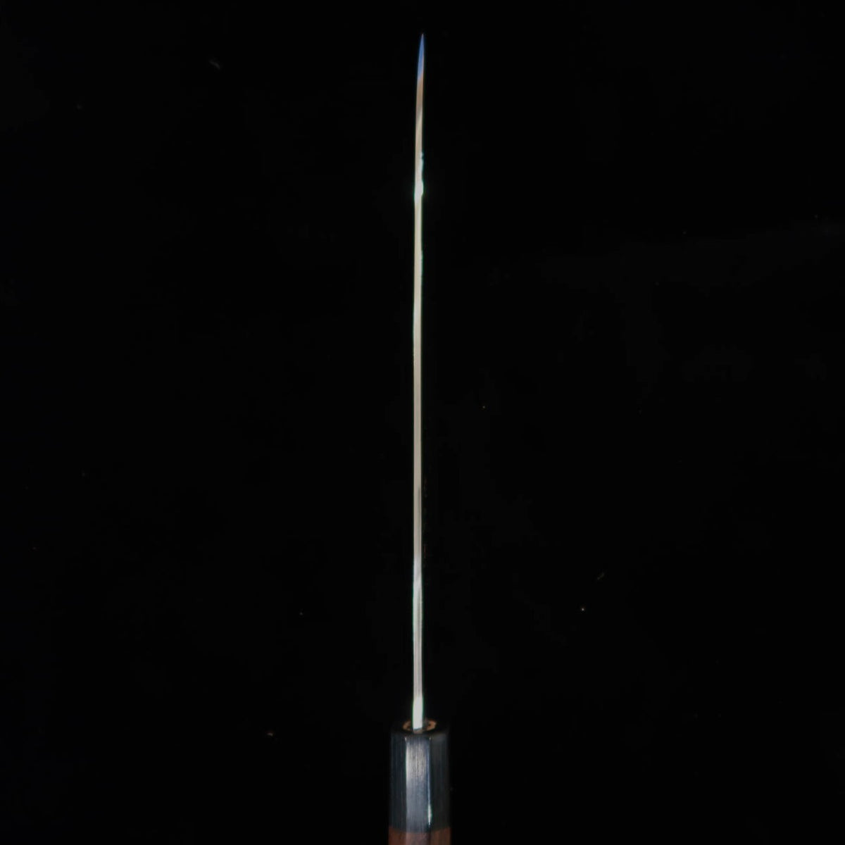 Takeshi Saji Aogami No. 2 Colored Damascus Gyuto Rosewood Handle (210/240/270mm)