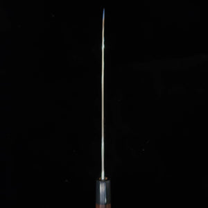 Takeshi Saji Aogami No. 2 Colored Damascus Gyuto Rosewood Handle (210/240/270mm)