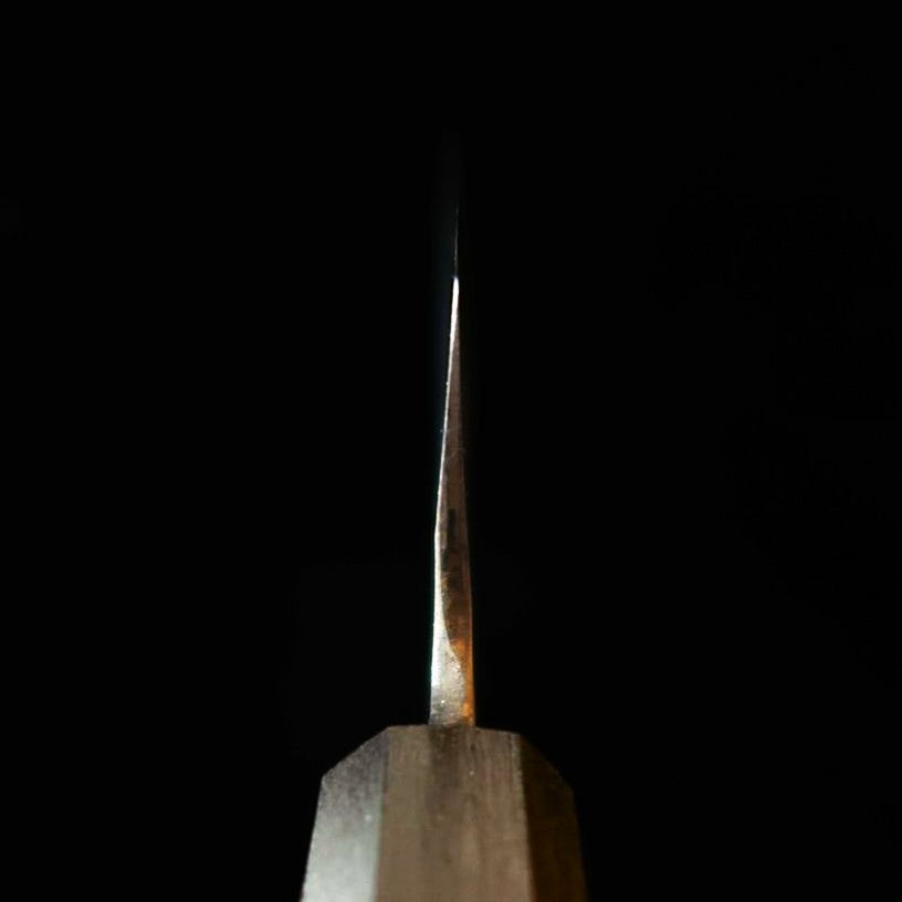Ikenami Hamono Shirogami No.1 Revêtement acier inoxydable Manche en chêne Gyuto (210-270 mm)