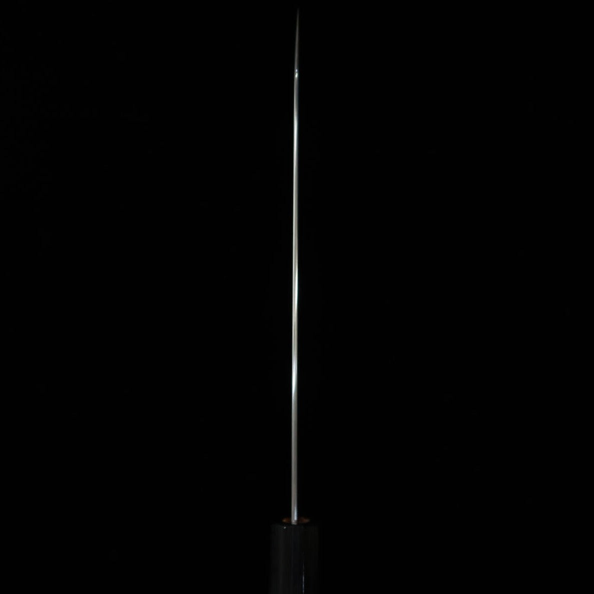 TAKAYUKI SHIBATA KOUTETSU gyuto Aogami Super (210/240 mm)
