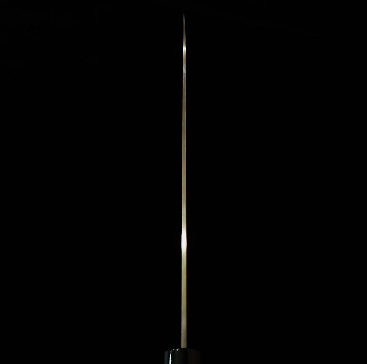 SUMIKAMA Kasumi TORA Gyuto, acero molibdeno, mango laminado negro (200 mm)