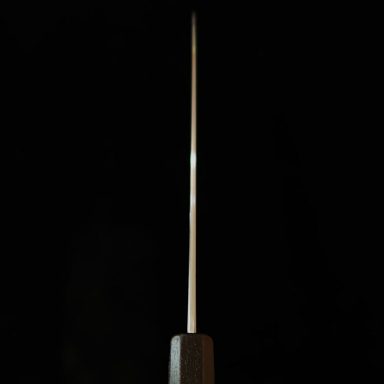 KAGEKIYO Gyuto, Ginsan (Silver 3), Hirame Lacquer Handle (240mm)