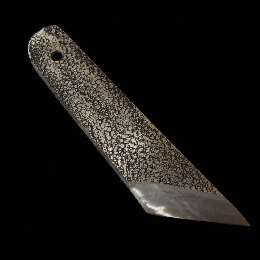 Sakai Kikumori SAKAI KIKUMORI Especial Unagisaki Aço Shirogami Nº2 Osaka Saki (50mm)