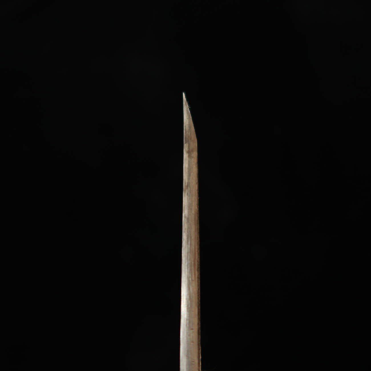 SAKAI KIKUMORI Eel Slicer, Shirogami No. 2, Osaka Style (50mm)