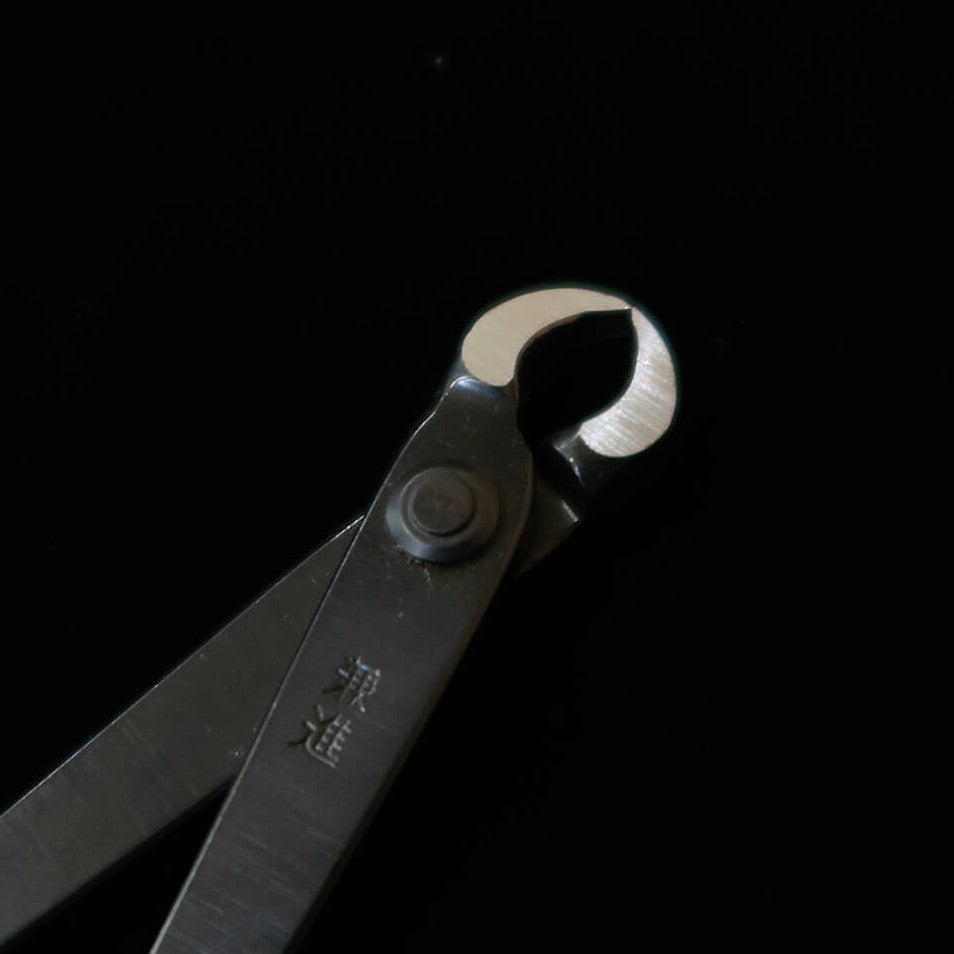 KANESHIN 兼進 Tijeras para bonsái, corte de nudos, mini, punta fina, acabado negro, No.8B