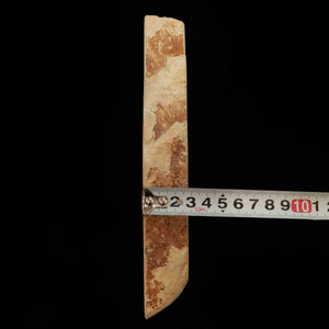 澪つくしひめ 天然砥石 伊豫銘砥 NM09　斜陽　83×214×30mm