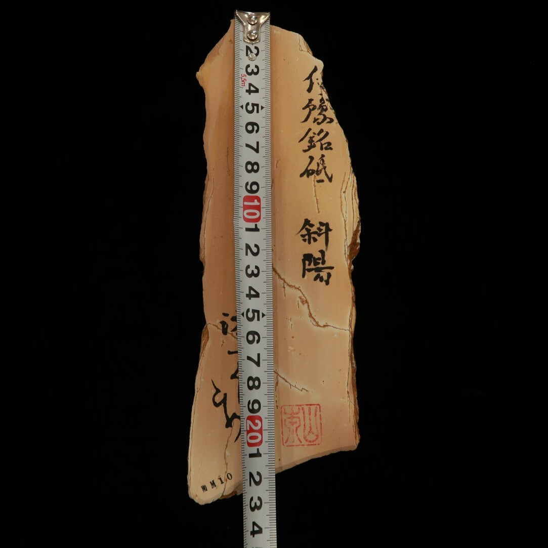 Miotsukushihime Pierre à aiguiser naturelle Iyo Meito NM10 Shayō 77×250×30 mm