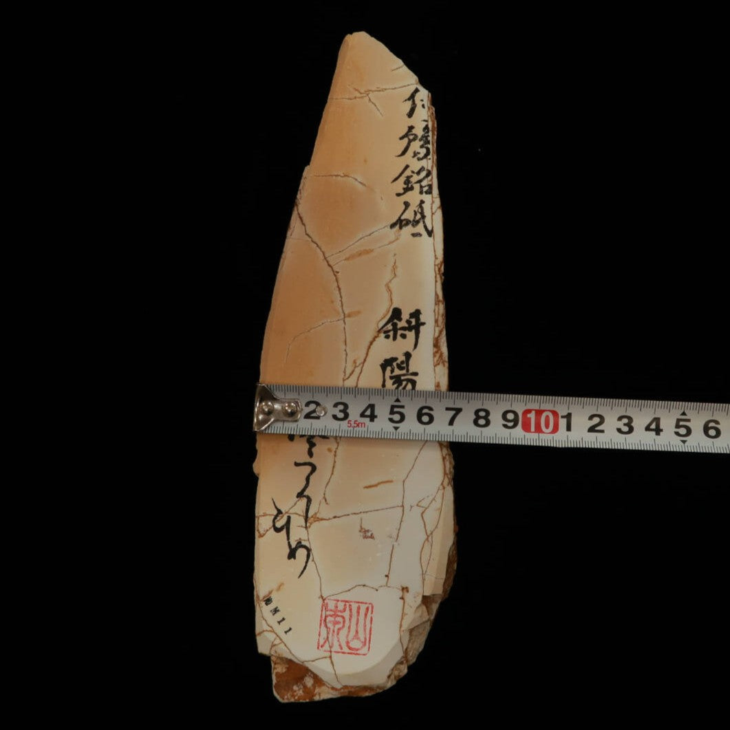 Miotsukushihime piedra de afilar natural Iyo Meito NM11 “Shayō” 70×250×30 mm