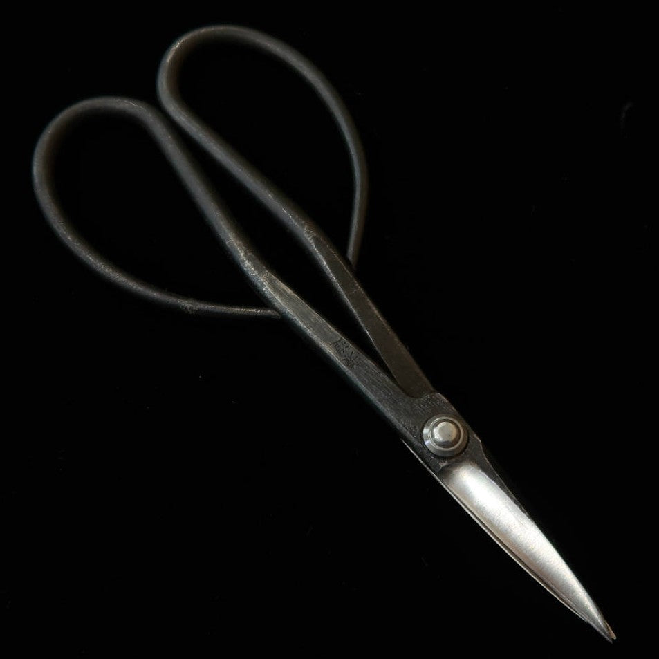 KANESHIN Tijeras para bonsái satsuki, grandes, acabado negro forjado (190 mm) Nº35