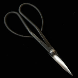 KANESHIN Kaneshin Ciseaux à bonsaï pour satsuki, grands, kuro-uchi (190 mm) n°35
