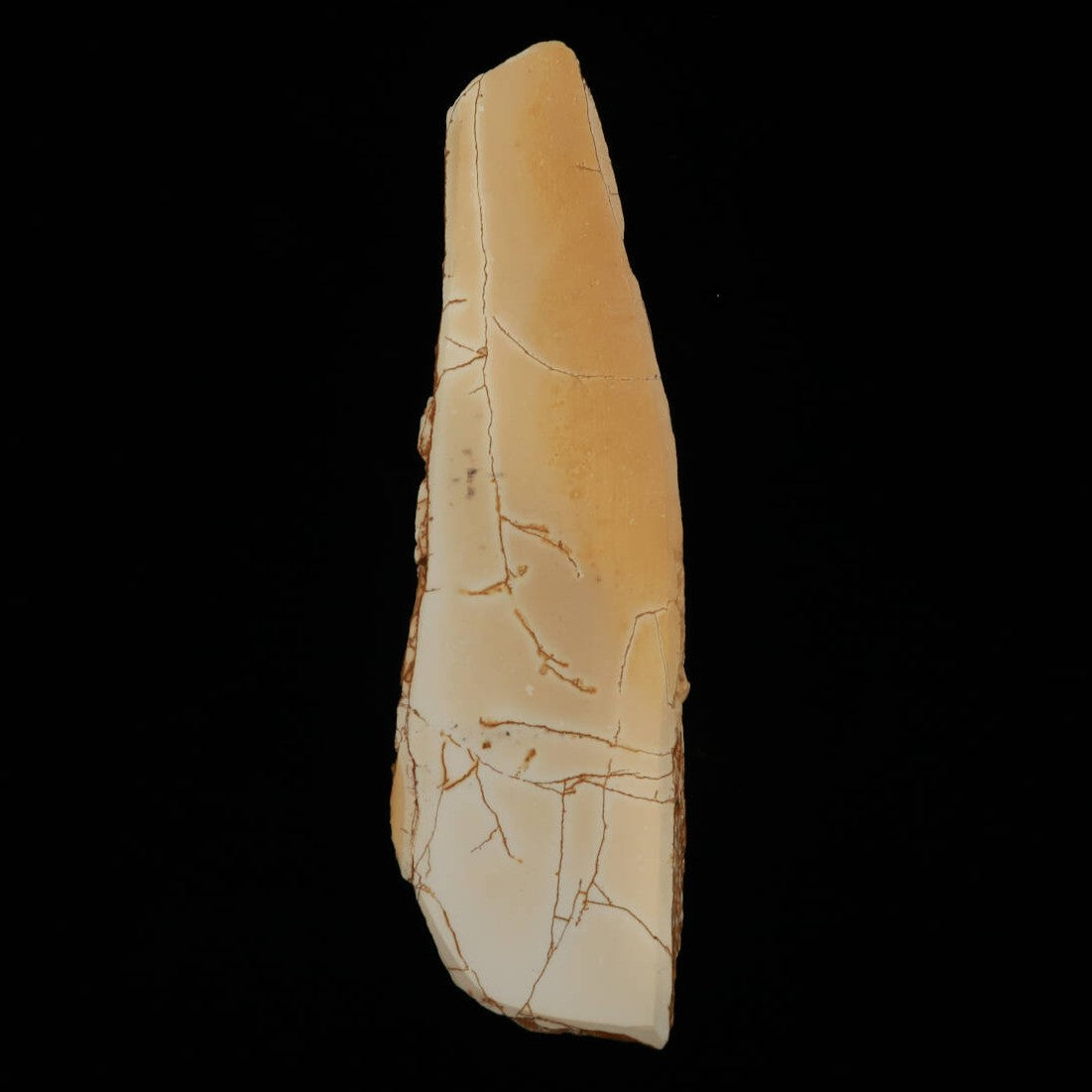 Miotsukushihime piedra de afilar natural Iyo Meito NM11 “Shayō” 70×250×30 mm