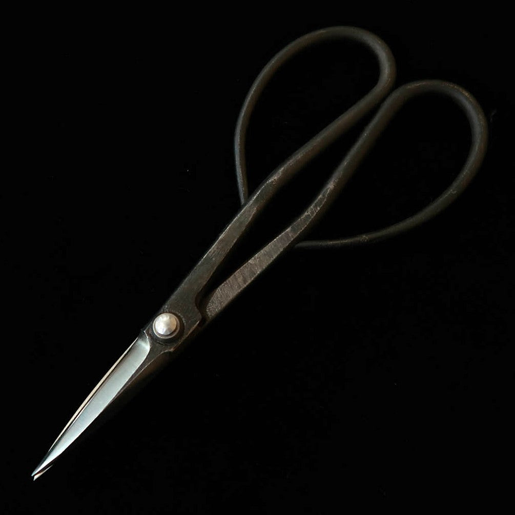 KANESHIN Kaneshin Ciseaux à bonsaï pour satsuki, grands, kuro-uchi (190 mm) n°35