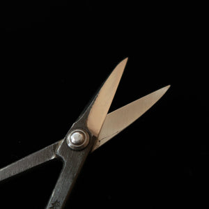 KANESHIN Kaneshin Ciseaux à bonsaï pour satsuki, grands, kuro-uchi (190 mm) n°35