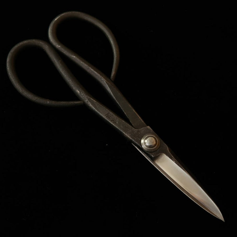 KANESHIN tijeras para satsuki de bonsái Shiro-gami acabado negro (pequeñas) No.34