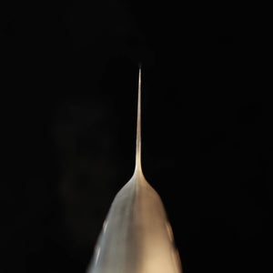 SAKAI ICHIJI Sakai Ichiji gyuto acero totalmente inoxidable #16040-16070 (180-270 mm)