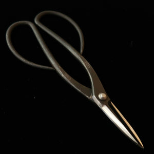 KANESHIN Kaneshin – ciseaux à pincement pour bonsaï, pour gaucher, finition kuro-uchi (190 mm) No602C