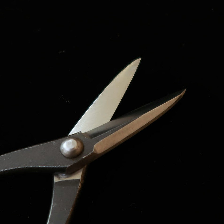 KANESHIN Kaneshin – ciseaux à pincement pour bonsaï, pour gaucher, finition kuro-uchi (190 mm) No602C
