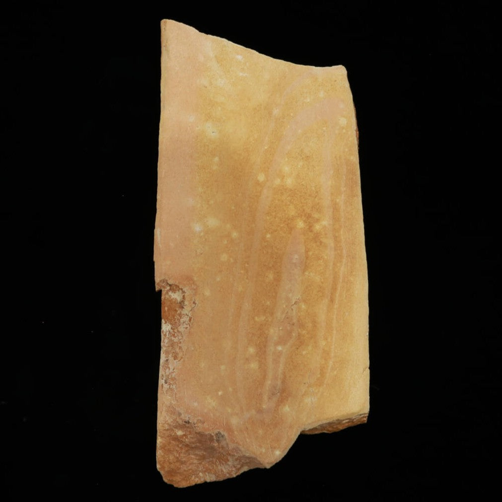 澪つくしひめ 天然砥石 伊豫銘砥 NM14 龍神 98×227×28mm – 三浦刃物店