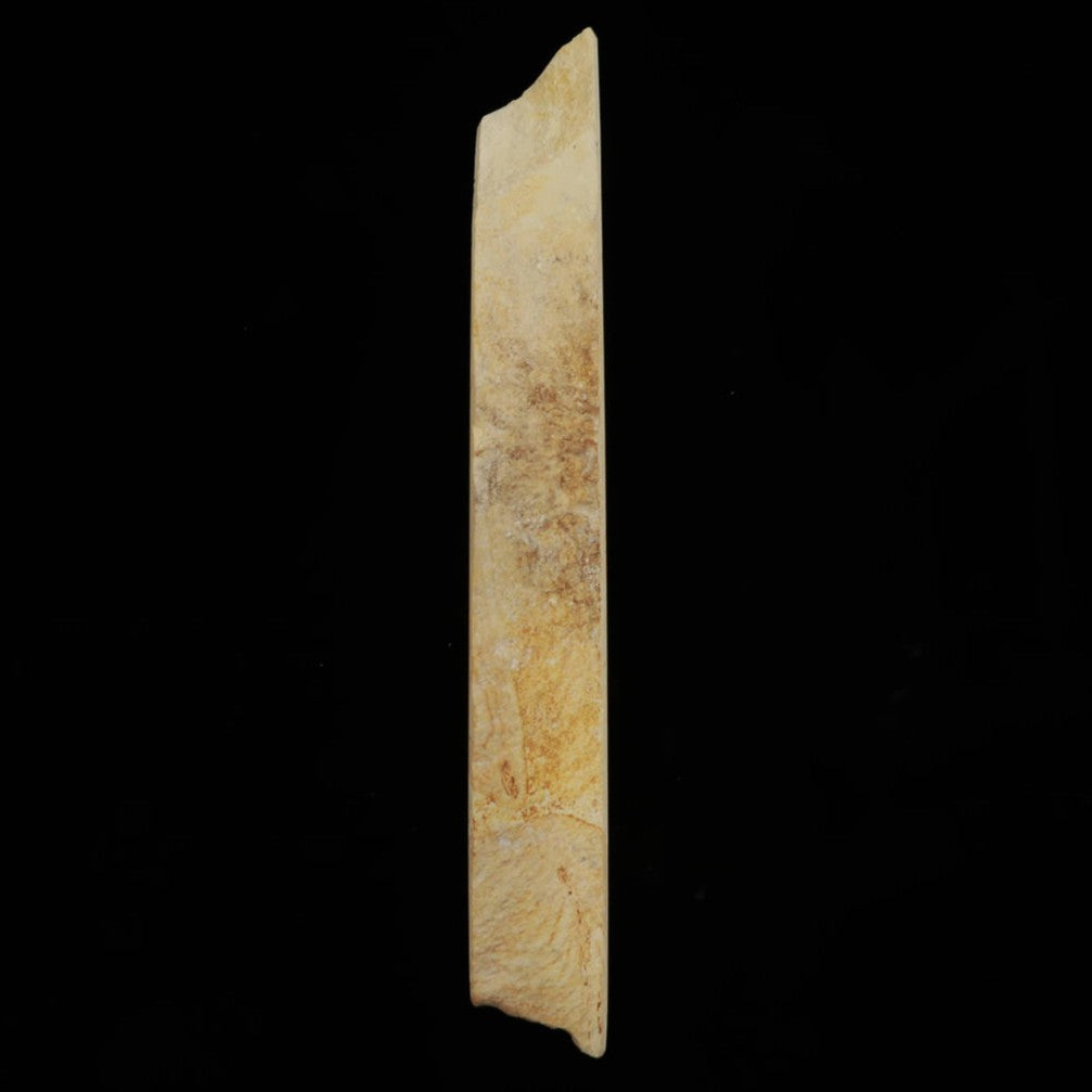 Miotsukushihime Natural Whetstone, Iyo Name NM15, Murakumo, 73 x 252 x 30mm