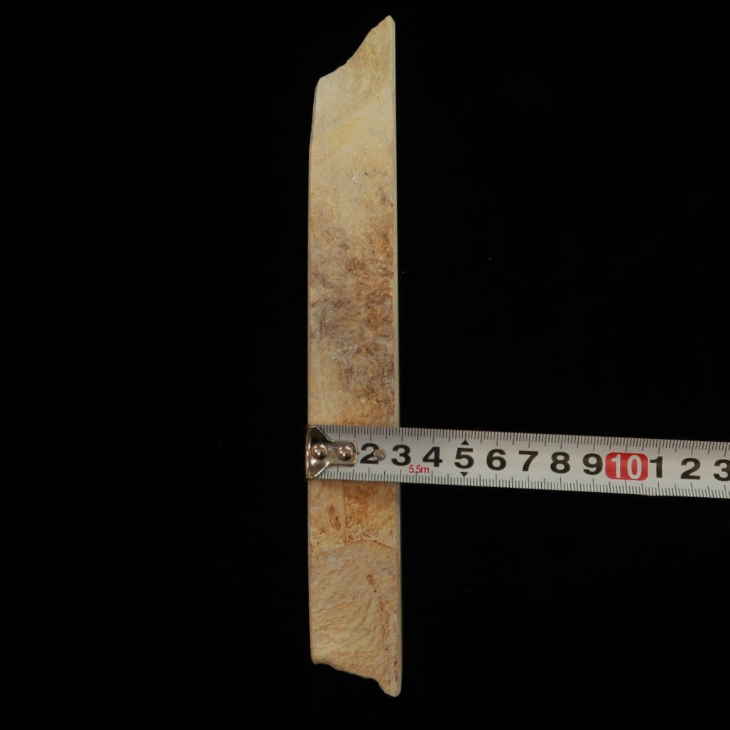 Miotsukushihime Natural Whetstone, Iyo Name NM15, Murakumo, 73 x 252 x 30mm