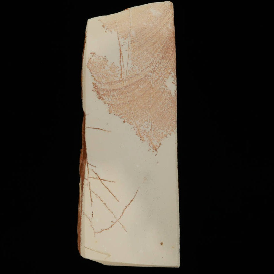 Mio Tsukushi Hime Pedra de Amolar Natural Iyo Meito NM17 Sakura 75×195×26mm