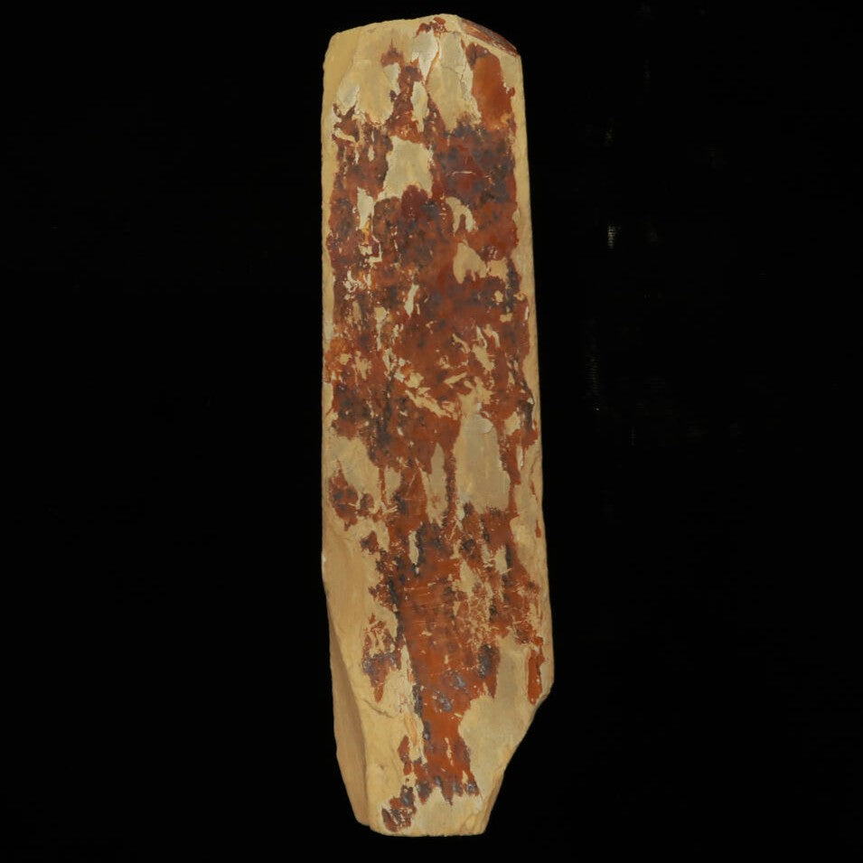 天然砥石 菖蒲谷 サン型　49×180×22mm