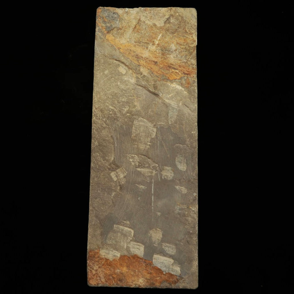 天然砥石 八木ノ島 30型  -4　76×205×36mm