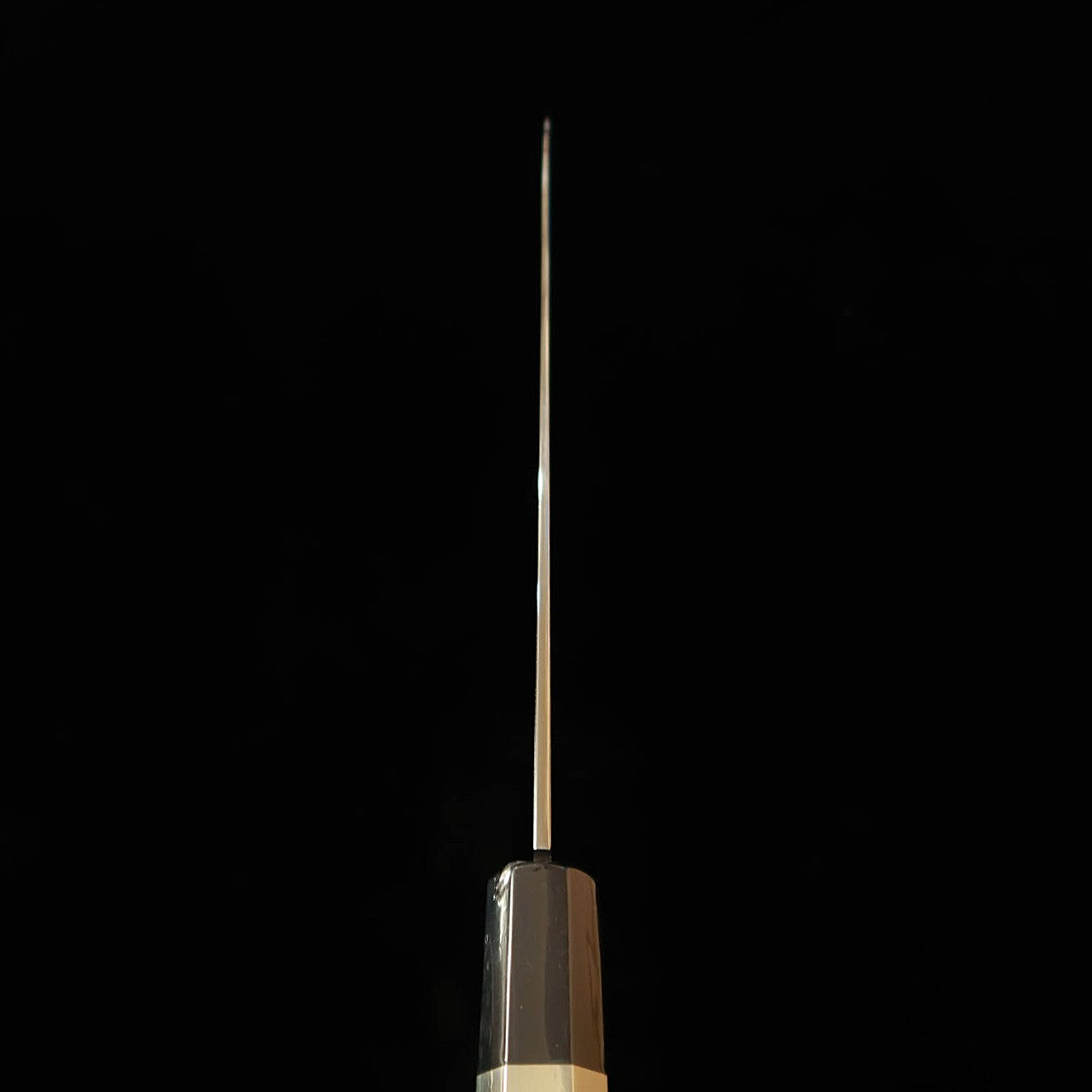 Wagyuto SUISIN Fuji, Ikeda Yoshikazu, Shirogami no.3, mango de ébano con anillo de plata, acabado de espejo (270mm)