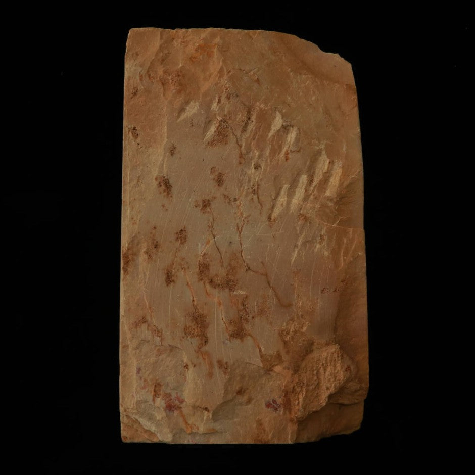 Pierre à aiguiser naturelle Umajimayama modèle cuir nid B 75×132×26mm