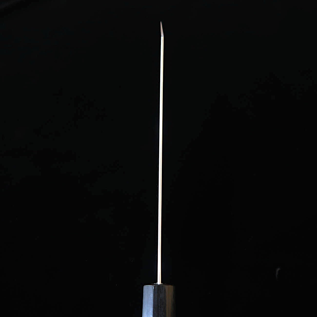 TAKAYUKI SHIBATA Koutetsu, Boss Bunka, SG2, Mango Octogonal de Palisandro (220mm)
