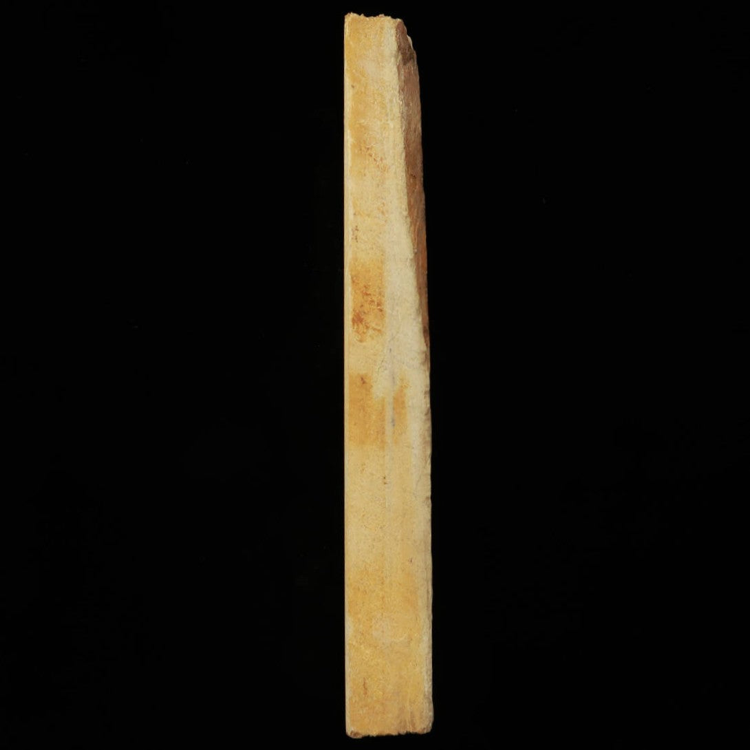 6569 Umajiyama Sun Shape Wide 50 x 207 x 22mm