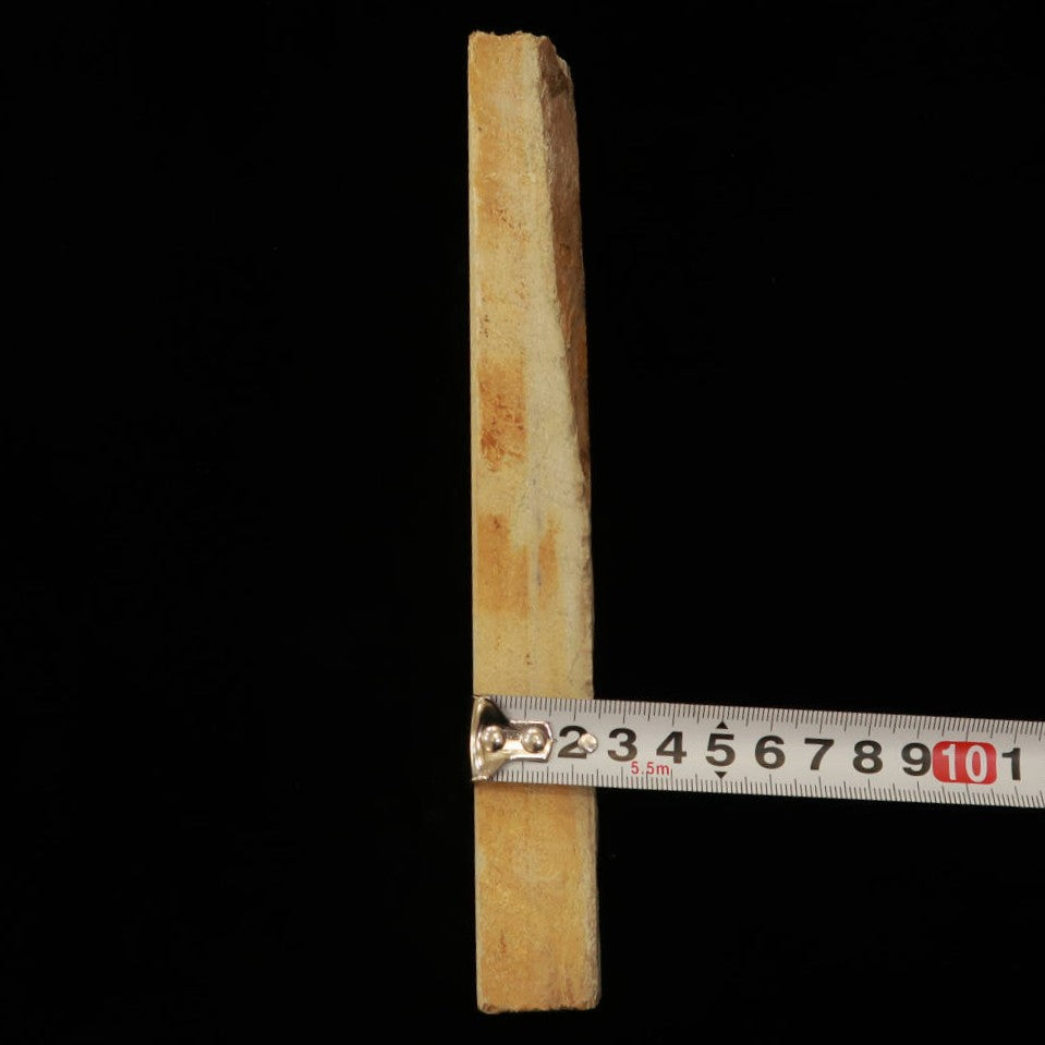 6569 Umajiyama Sun Shape Wide 50 x 207 x 22mm