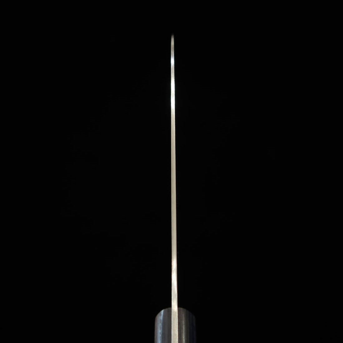 Misono MISONO cuchillo para niños, acero de molibdeno, mango de laminado negro (120 mm)
