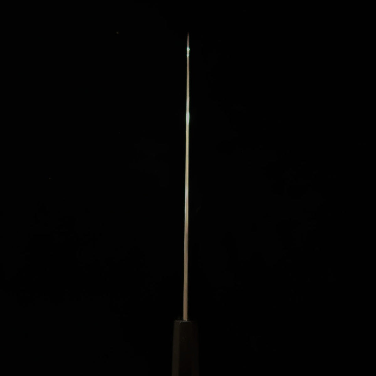 KAGEKIYO Aogami 1, couteau de chef japonais, acier damassé à revêtement inox, manche Hirame Bokashi (210/240 mm)