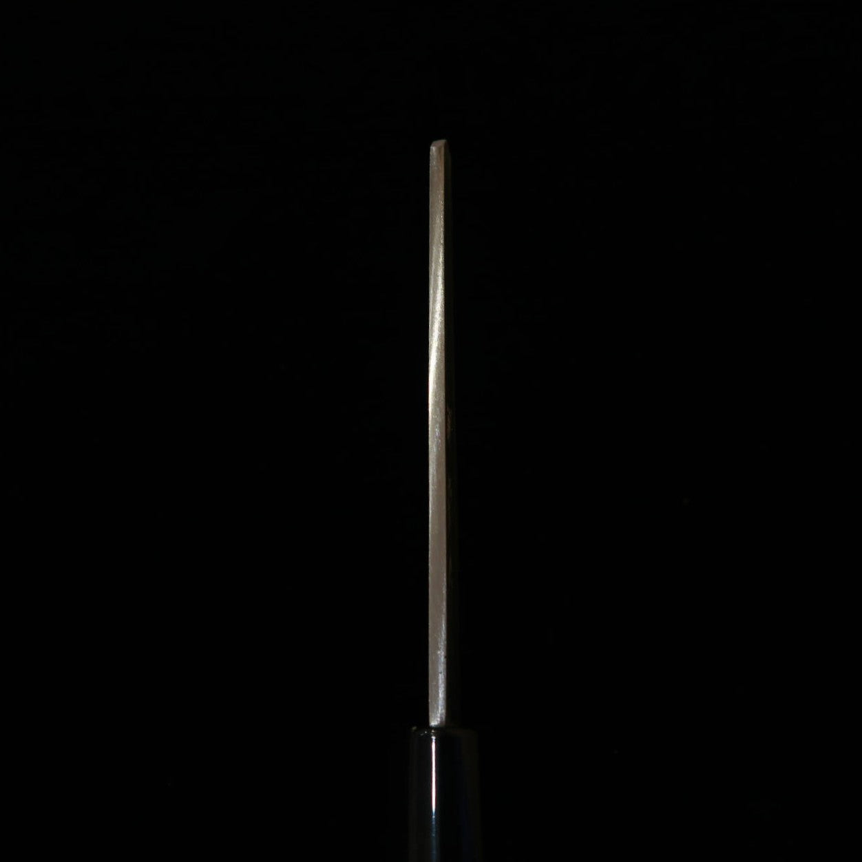 Sakai Kikumori SAKAI KIKUMORI Unagisaki Nagoya-zaki (105 mm