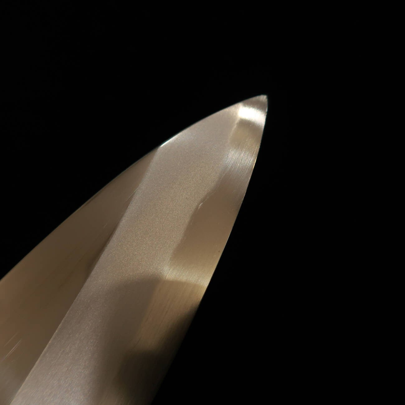 « OUTLET » Suishin Shippu Kizuna, Funayuki, acier Ao n°2 (195/210 mm)