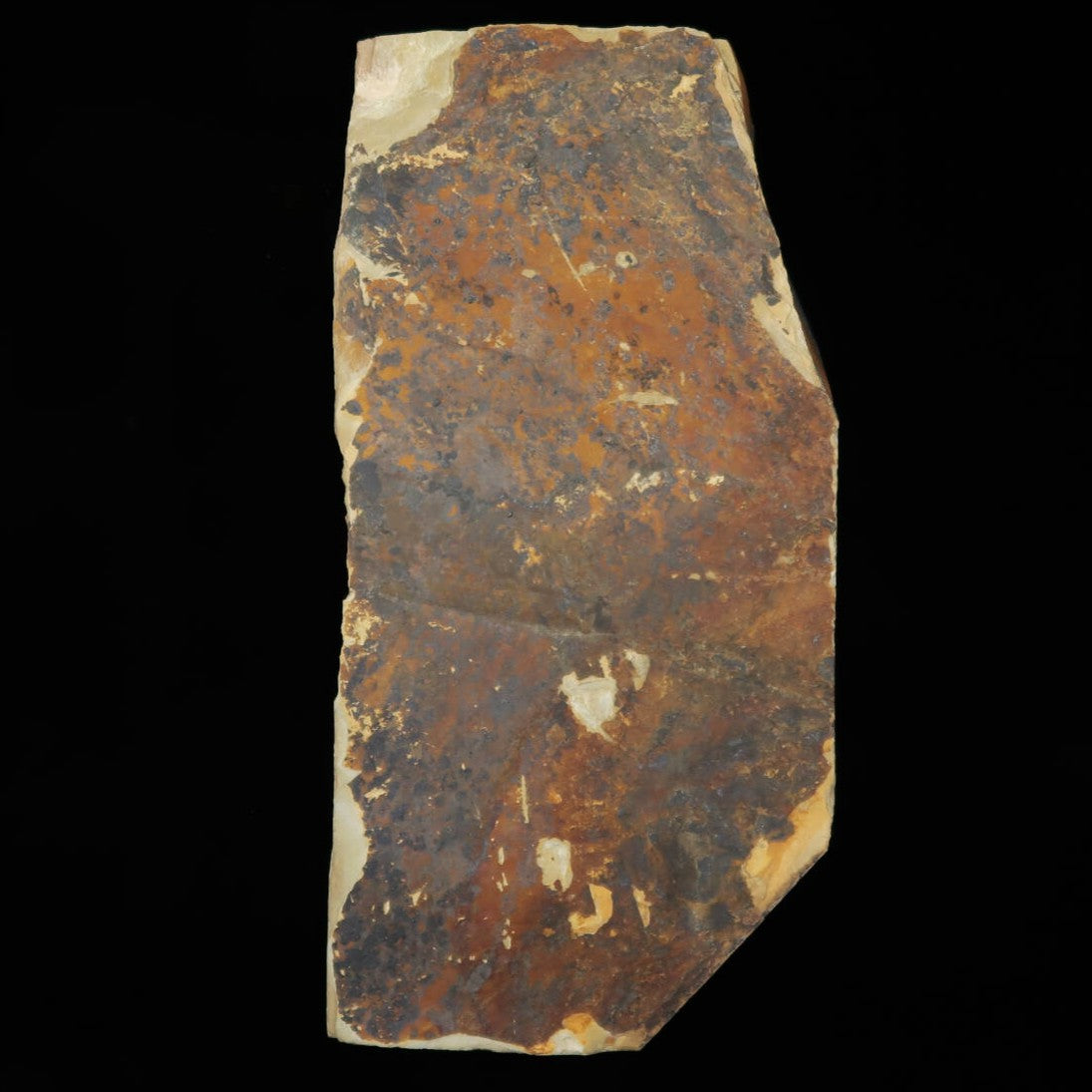 Pedra de Amolar Natural Nakayama Awasedo Koppa 80×163×31mm