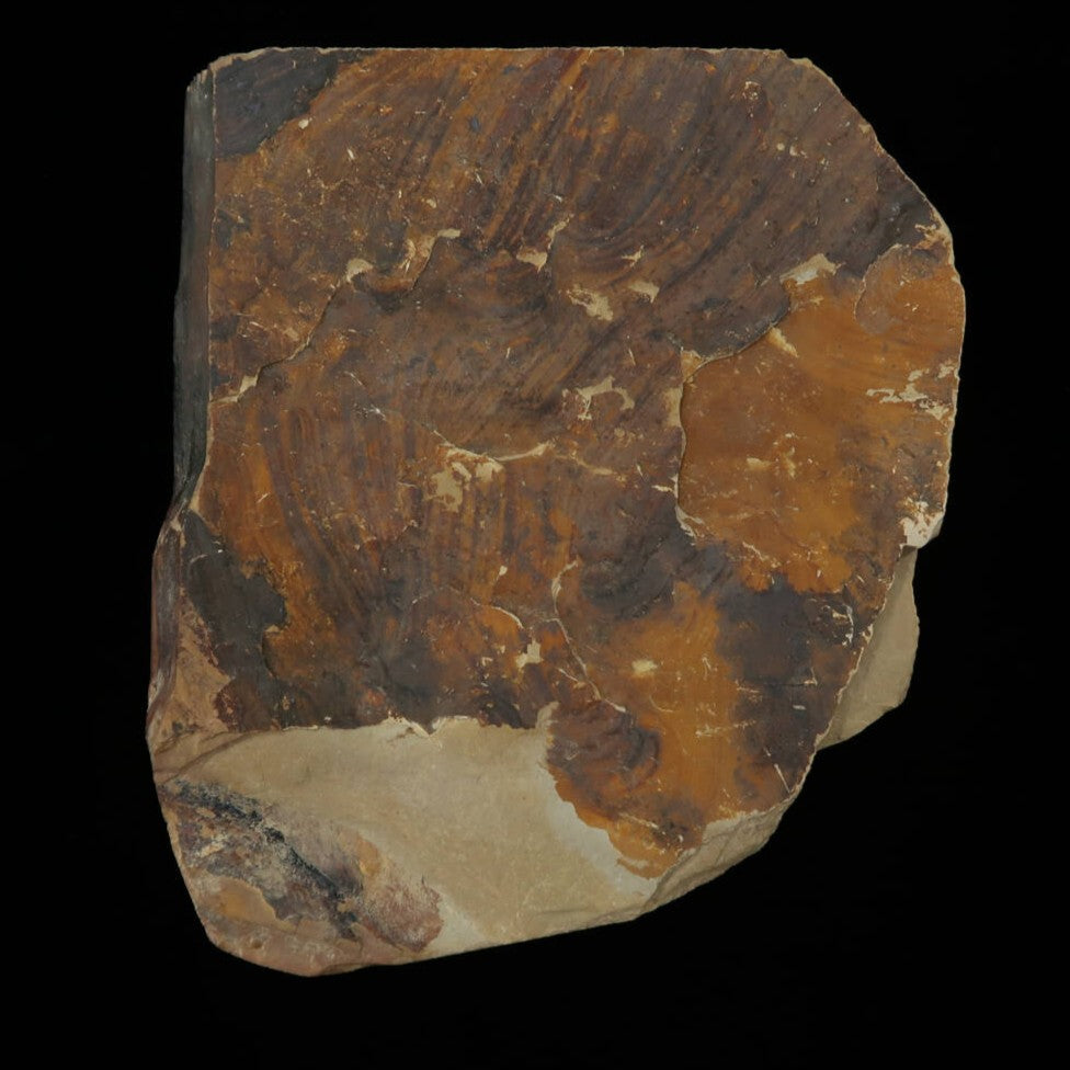 Pedra de amolar natural Nakayama Awasedo Koppa 112×130×11mm