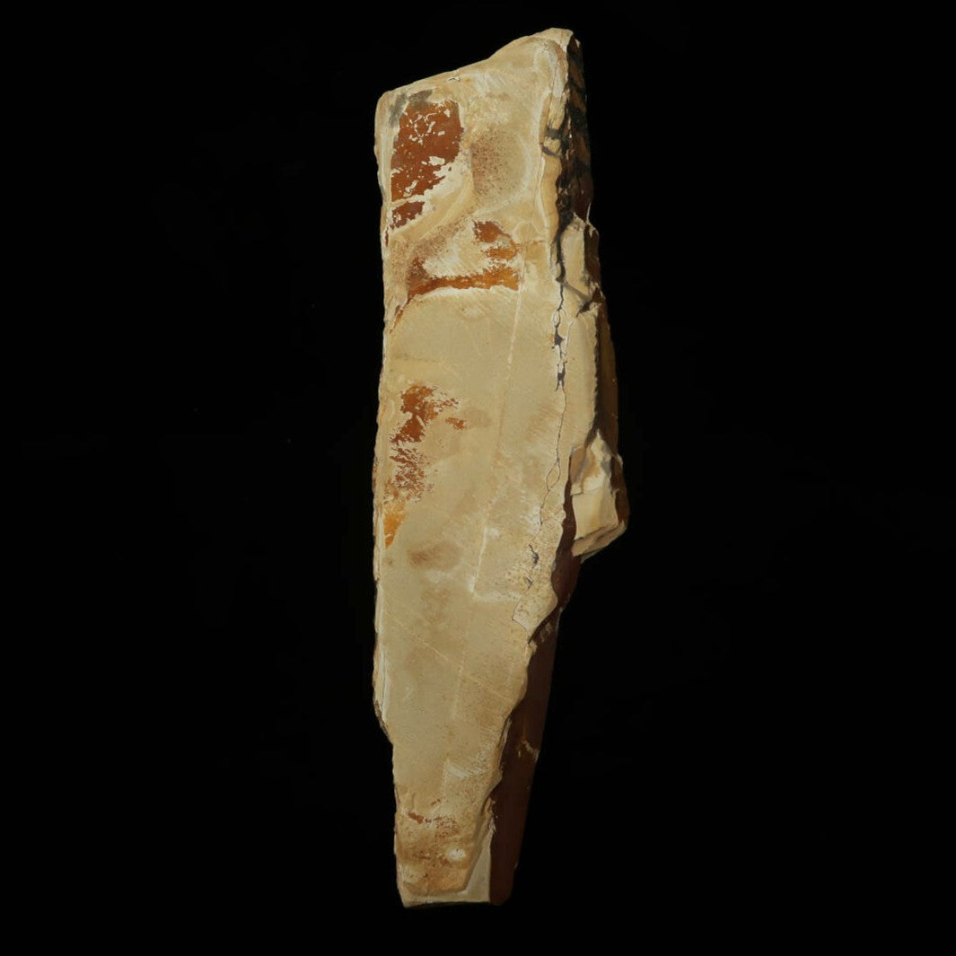 Piedra de afilar natural Nakayama Era Hatanaka Coppa cortada a mano (58×207×15 mm)
