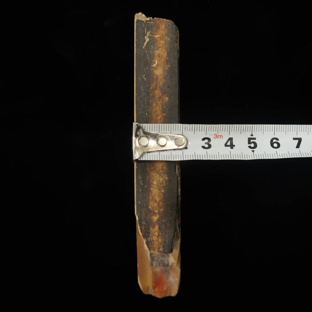 Piedra de afilar natural Nakayama, era Hatanaka, Coppa, cortada a mano (68×135×20 mm)