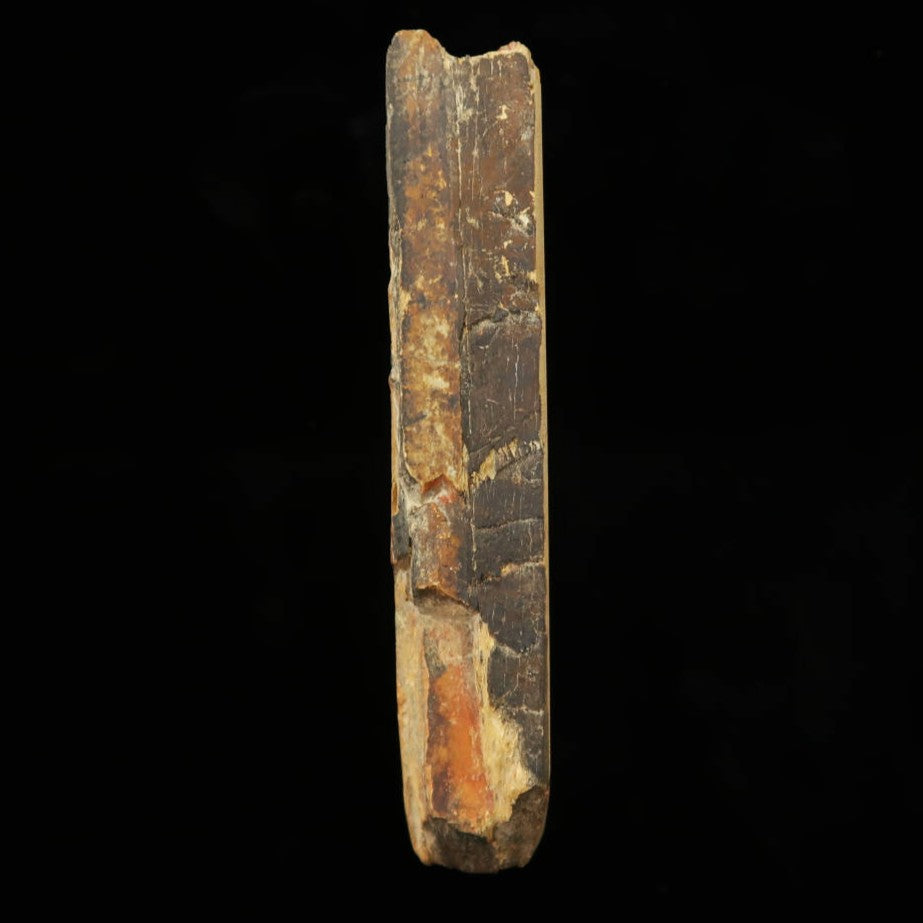 Piedra de afilar natural Nakayama, era Hatanaka, Coppa, cortada a mano (68×135×20 mm)