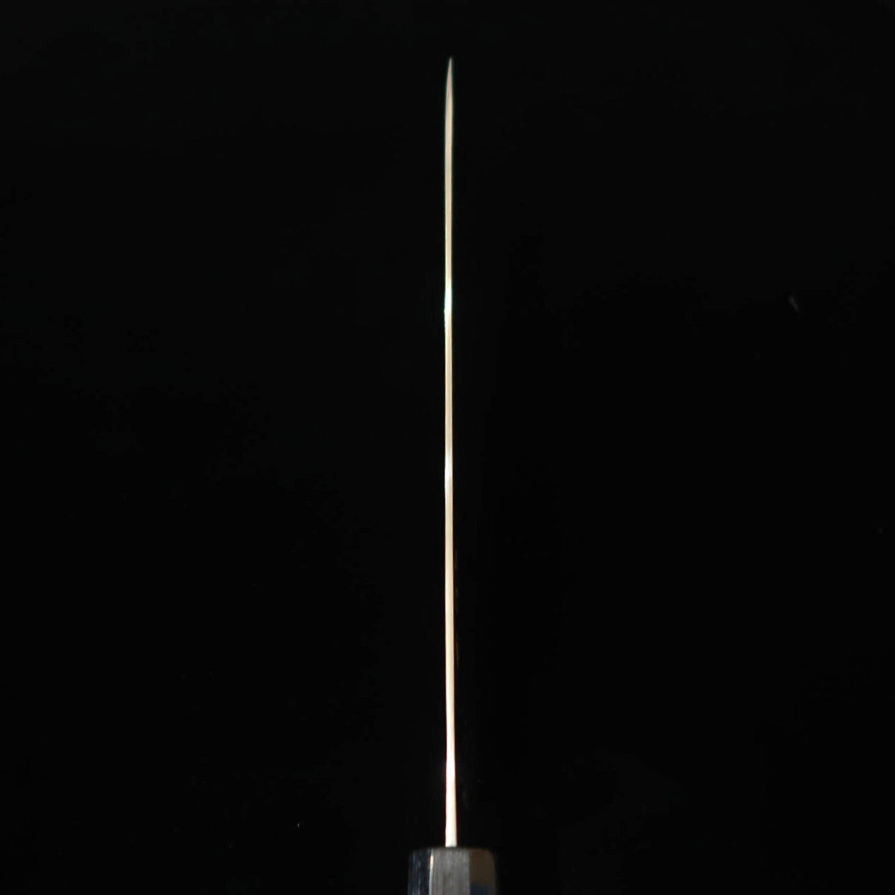 佐治武士SAJI TAKESHI 青紙二号 有色ダマスカス 筋引 紫檀八角柄 (240/270mm)