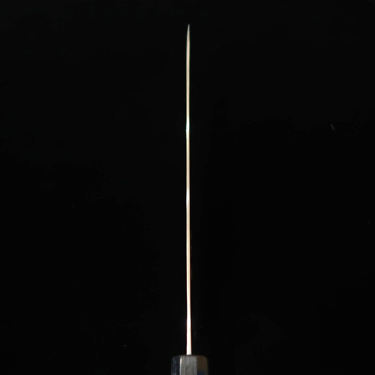 SAJI TAKESHI, acier Aogami n°2, damas coloré, Sujihiki, manche octogonal en bois de rose (240/270 mm)