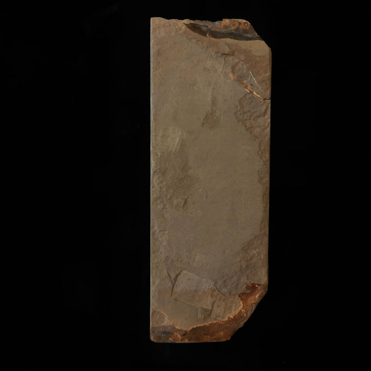 Piedra natural Umajiyama Aoto 80 tipo, rara, 65 × 177 × 30 mm